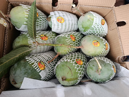 Anwar Ratol Premium Multani Mangoes (Export Quality)