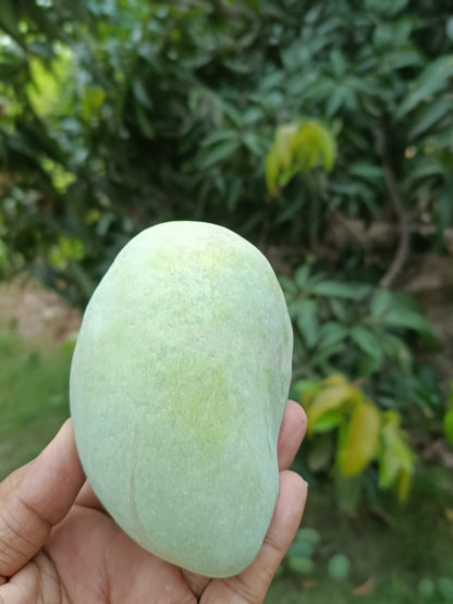 Multani Chaunsa Premium MultaniMangoes (The King of Mangoes)