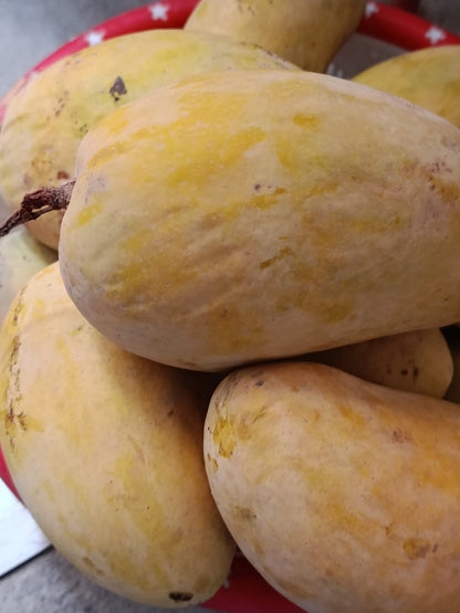 Multani Chaunsa Premium MultaniMangoes (The King of Mangoes)