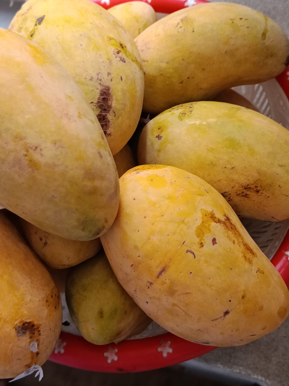 Multani Chaunsa Premium MultaniMangoes (The King of Mangoes)