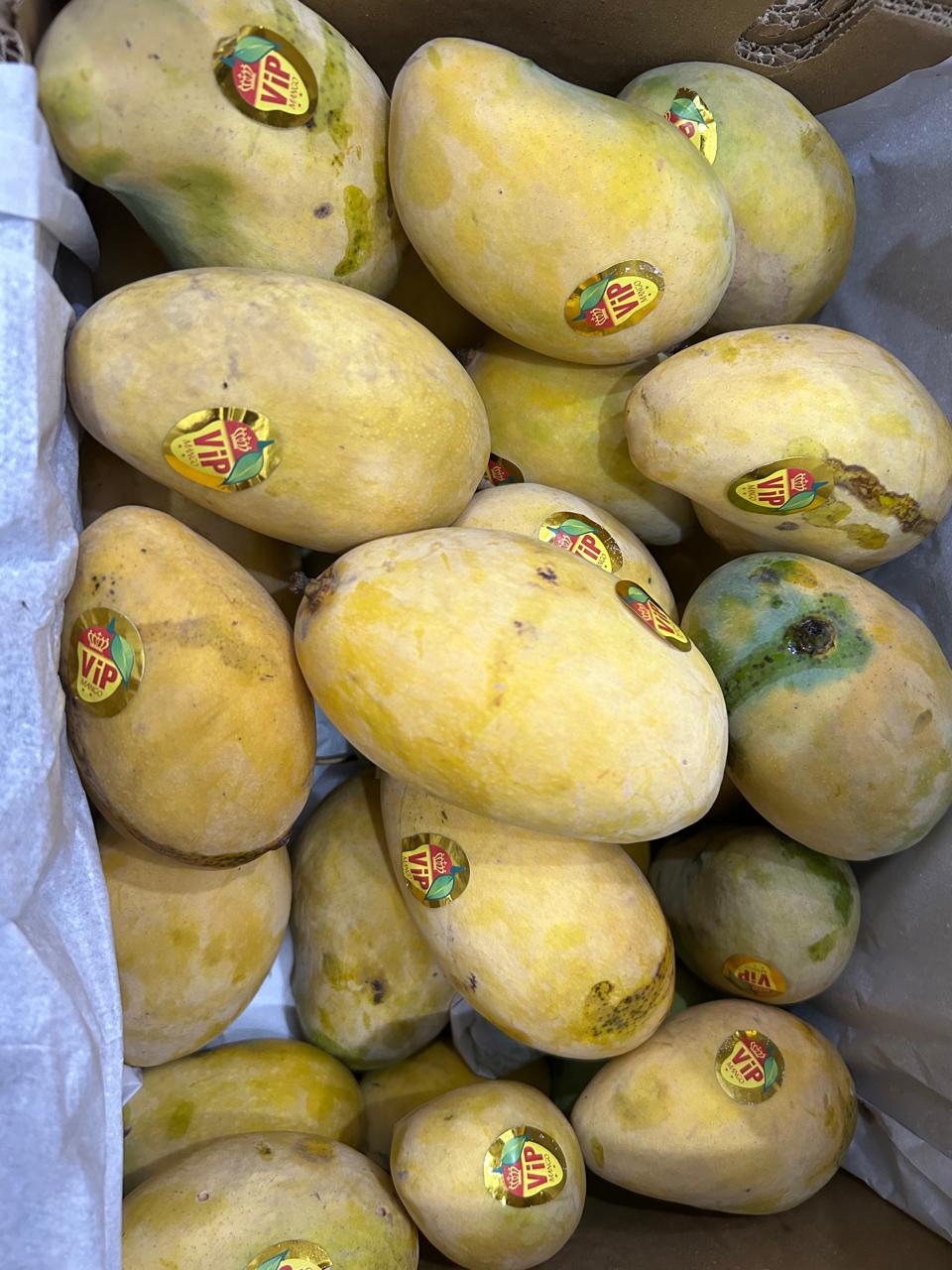 Multani Chaunsa Premium MultaniMangoes (The King of Mangoes)