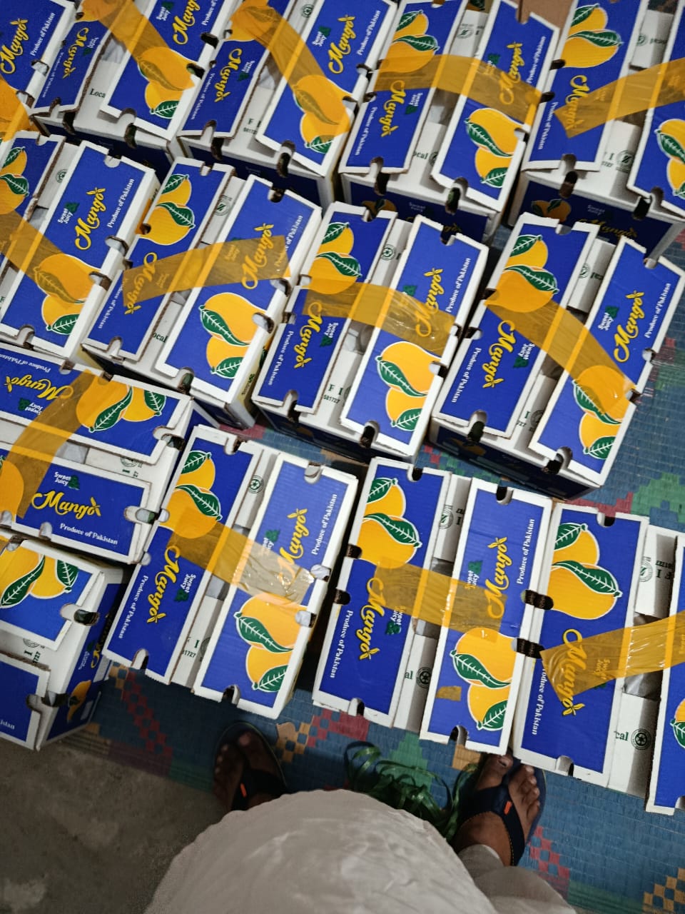 Multani Chaunsa Premium MultaniMangoes (The King of Mangoes)